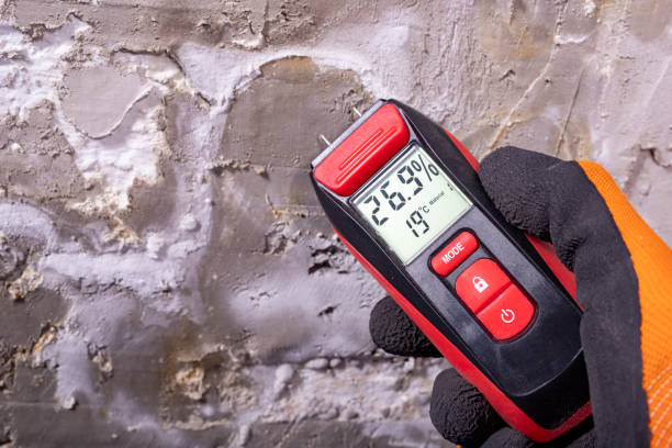 Best Mold Remediation  in Herndon, VA