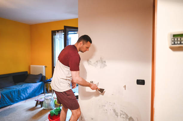 Best Attic Mold Removal  in Herndon, VA
